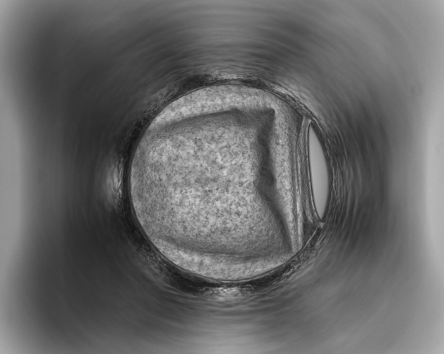 X0000096440406200802141456