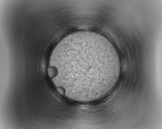 X0000096440408200802141456