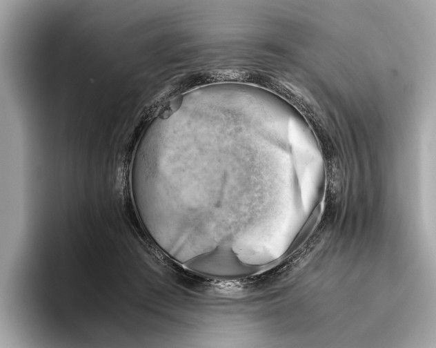 X0000096440409200802141456