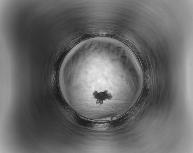 X0000096440410200802141456