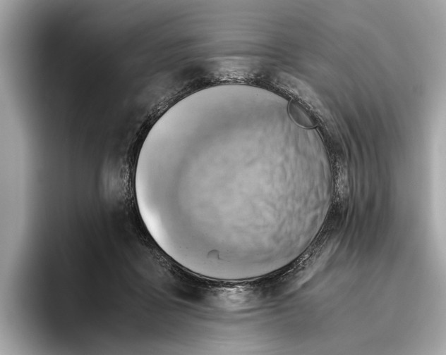 X0000096440411200802141456