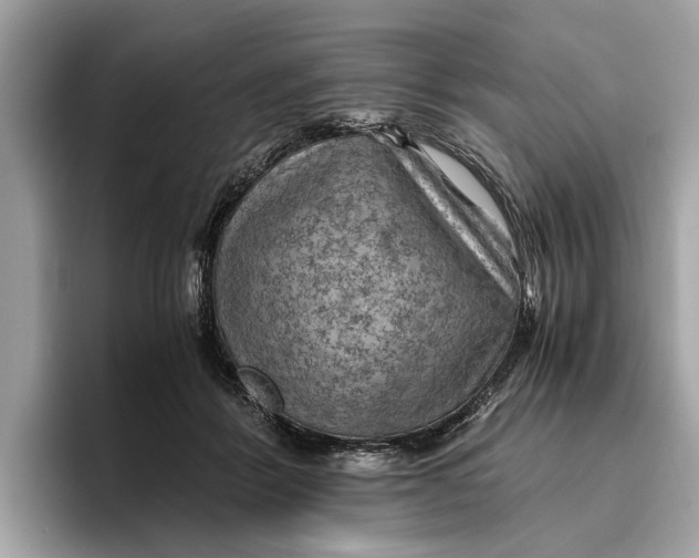 X0000096440412200802141456