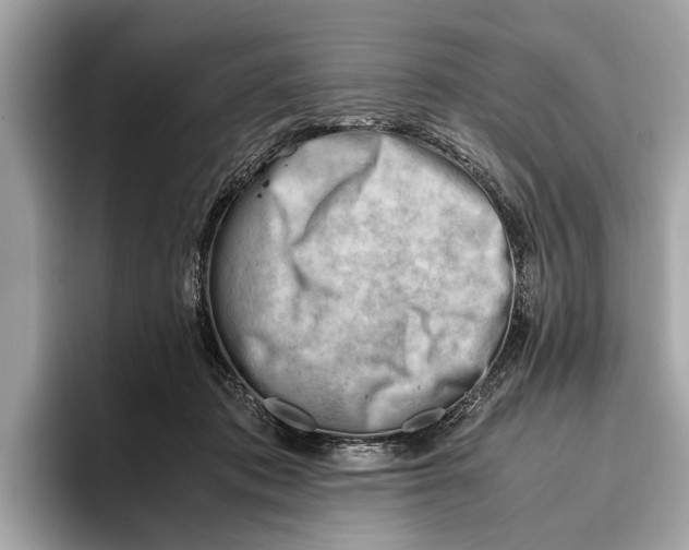 X0000096440413200802141456