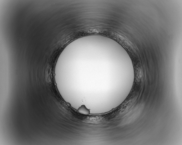 X0000096440414200802141456