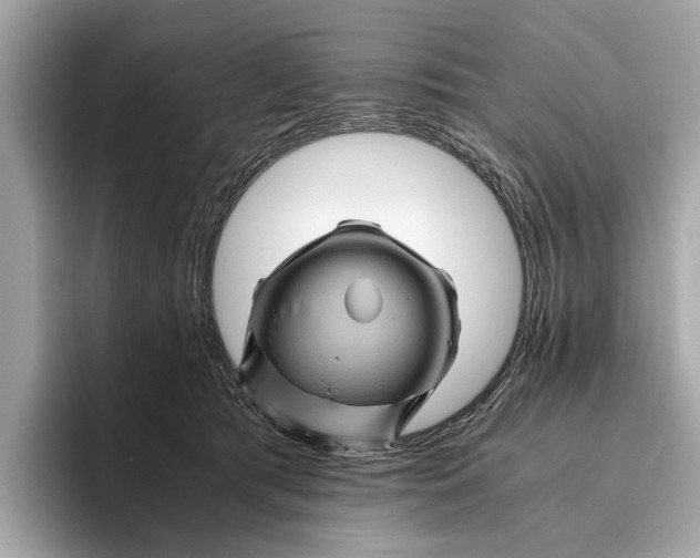 X0000096440417200802141456