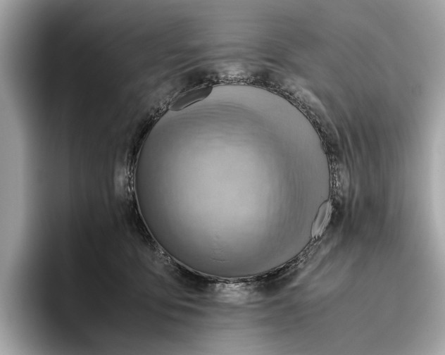 X0000096440419200802141456