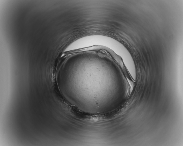 X0000096440420200802141456