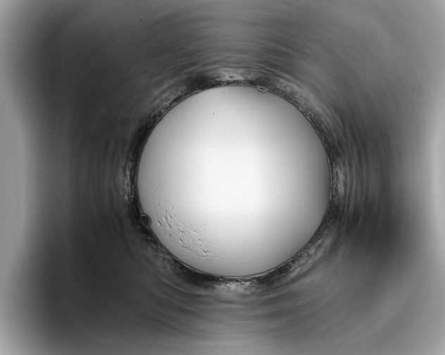 X0000096440422200802141456