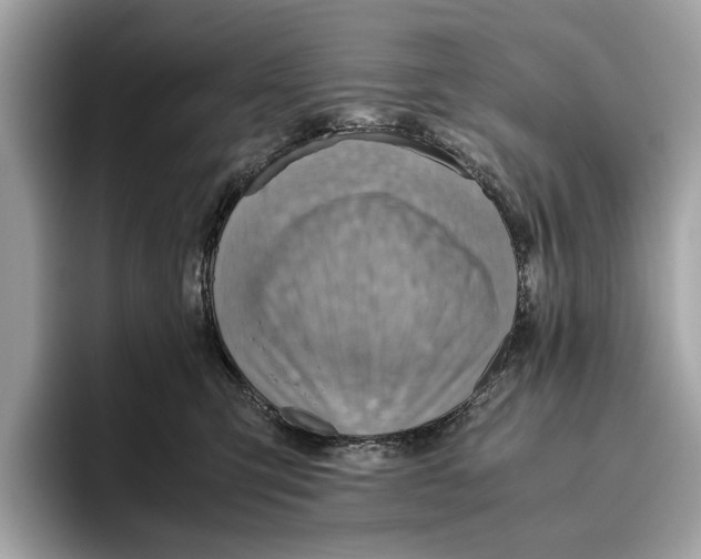 X0000096440423200802141456