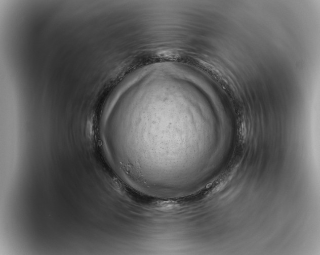 X0000096440424200802141456