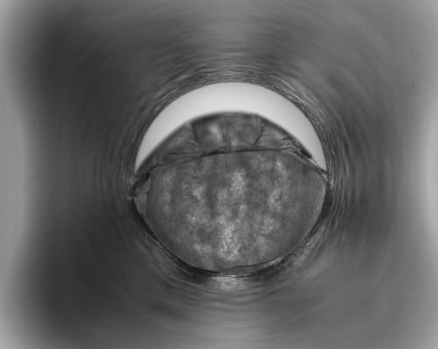 X0000096440425200802141456