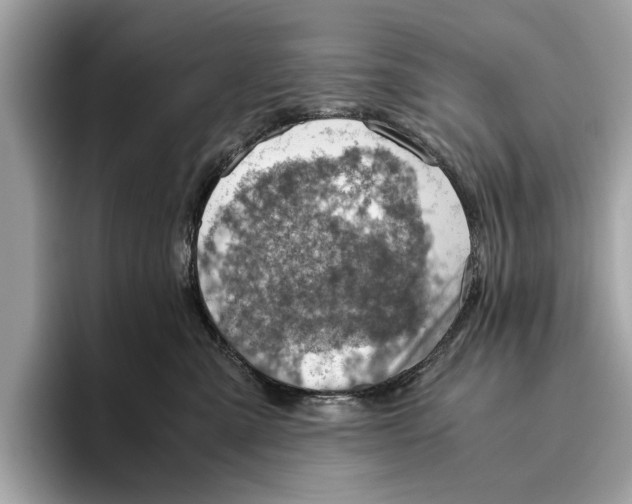 X0000096440427200802141456