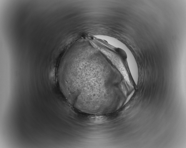 X0000096440428200802141456