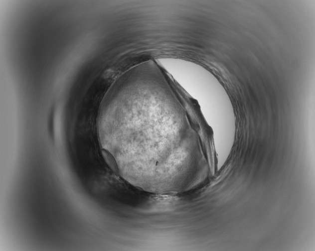 X0000096440429200802141456