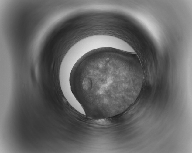 X0000096440431200802141456