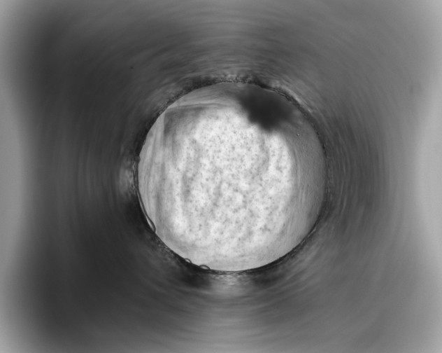 X0000096440432200802141456