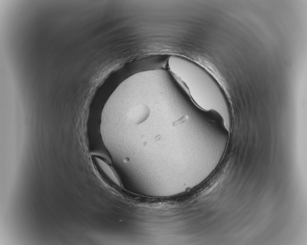 X0000096440433200802141455