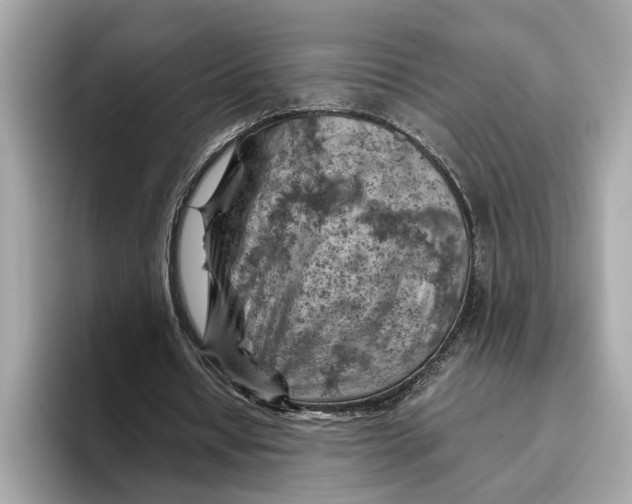 X0000096440434200802141455