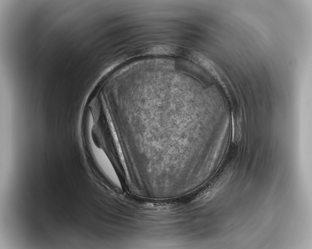 X0000096440435200802141455