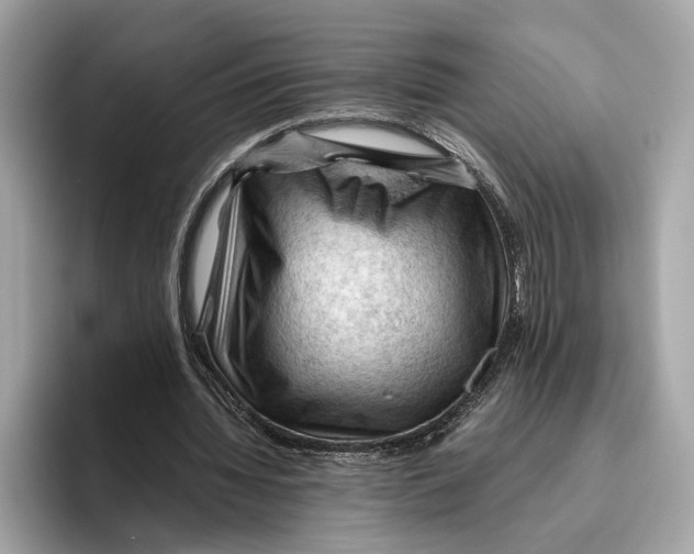 X0000096440436200802141455