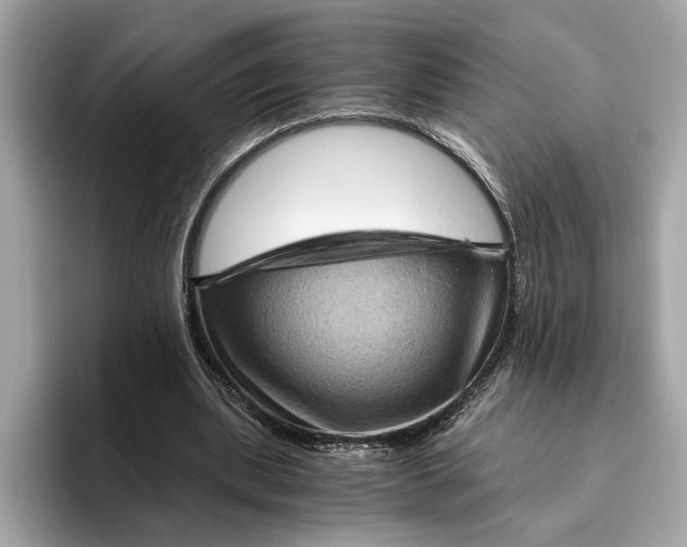 X0000096440439200802141455