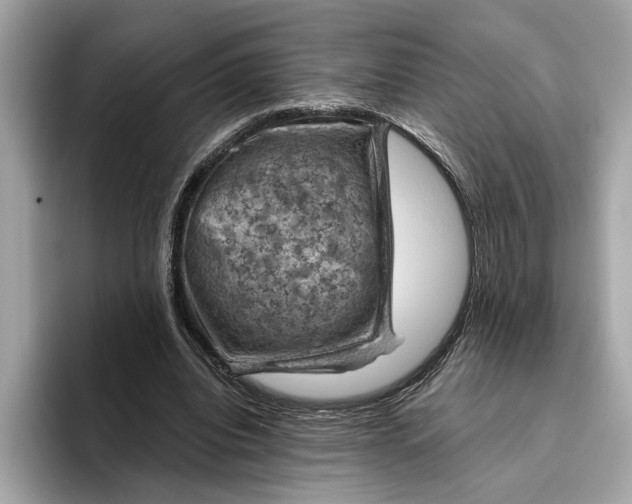 X0000096440440200802141455