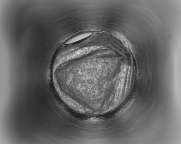 X0000096440441200802141455