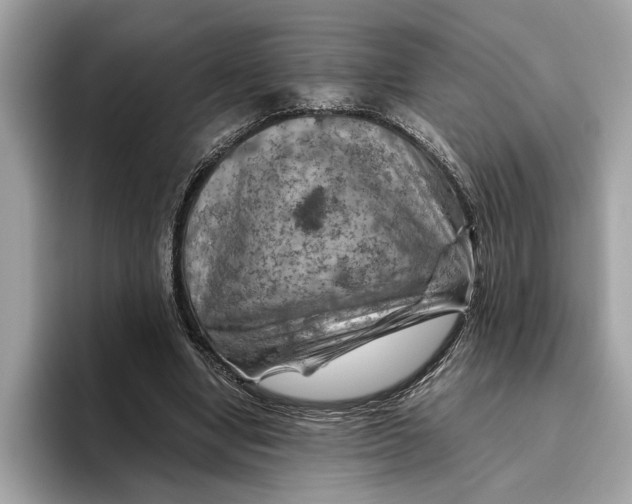 X0000096440442200802141455