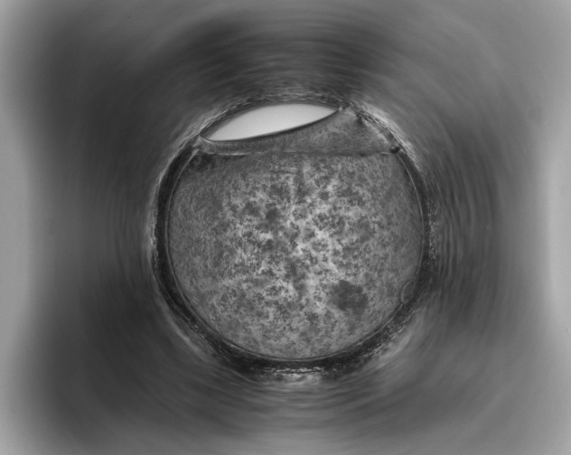 X0000096440443200802141455