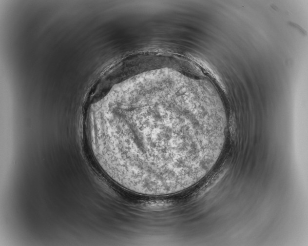 X0000096440445200802141455