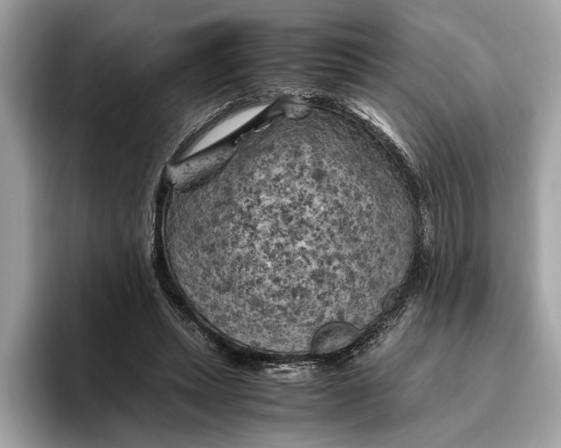 X0000096440447200802141455