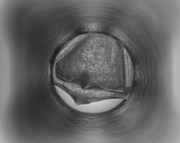 X0000096440450200802141455