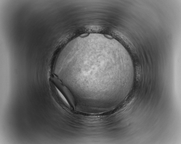 X0000096440451200802141455