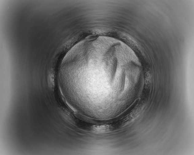 X0000096440452200802141455