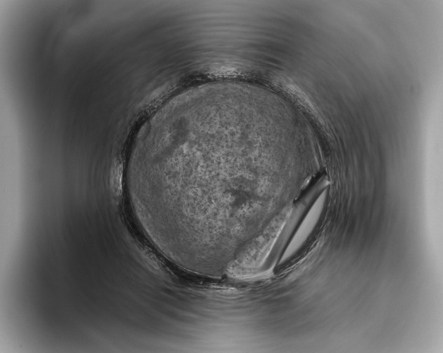 X0000096440454200802141455