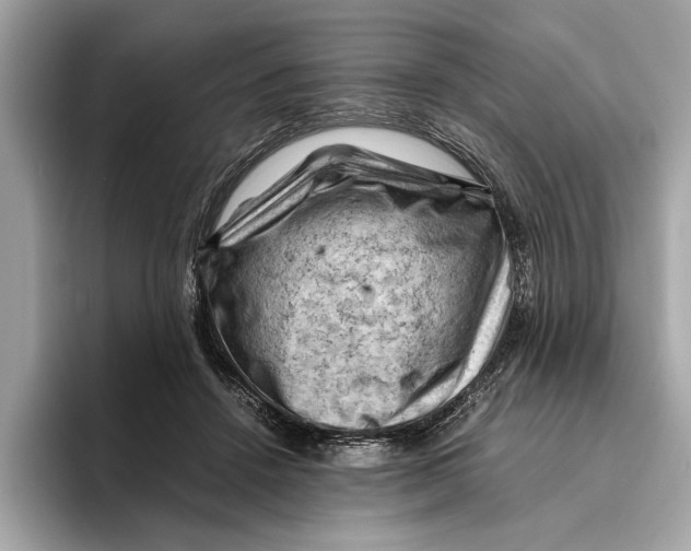 X0000096440456200802141455