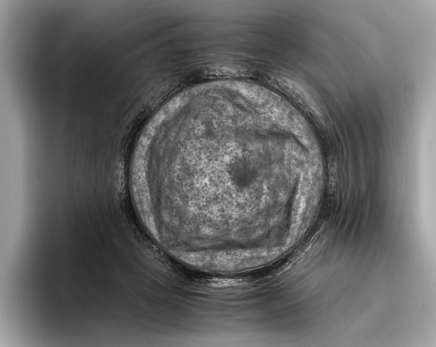 X0000096440457200802141455