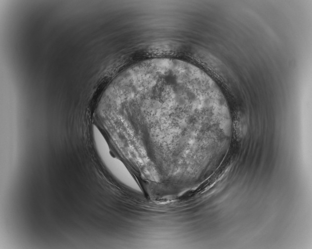 X0000096440458200802141455