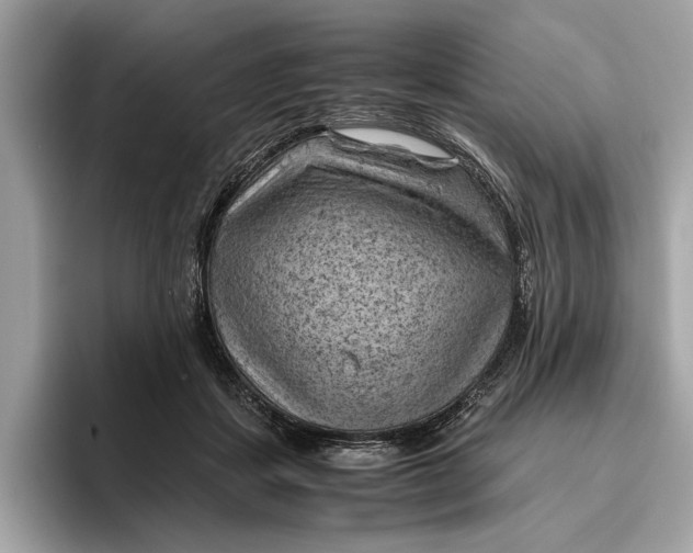 X0000096440459200802141455