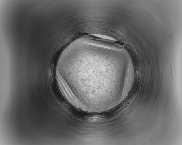 X0000096440460200802141455