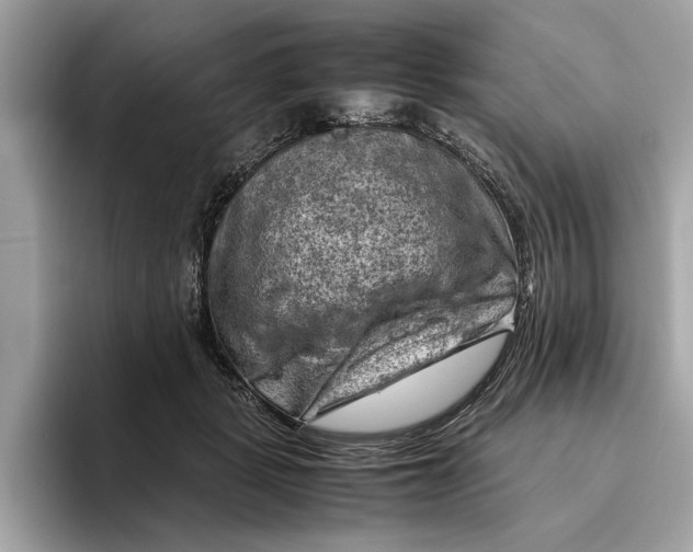 X0000096440461200802141455