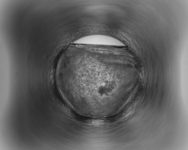 X0000096440462200802141455