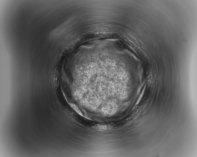 X0000096440464200802141455