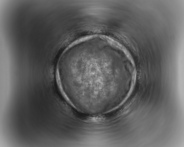 X0000096440466200802141455