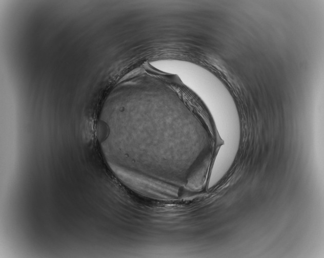 X0000096440467200802141455