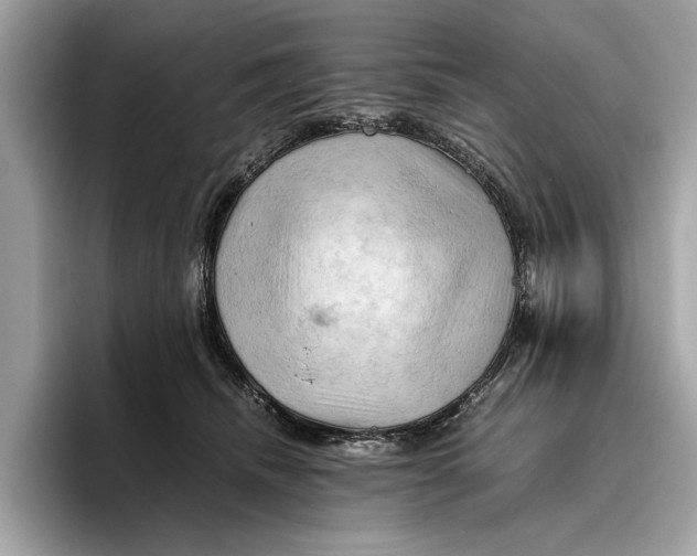 X0000096440468200802141455