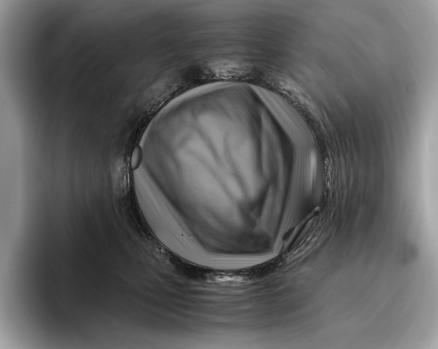 X0000096440471200802141455