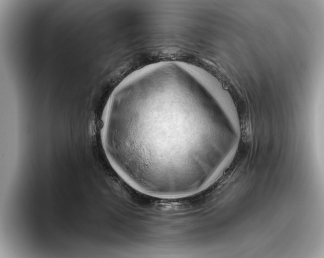 X0000096440472200802141455