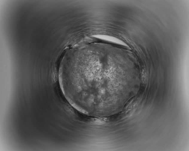 X0000096440474200802141455