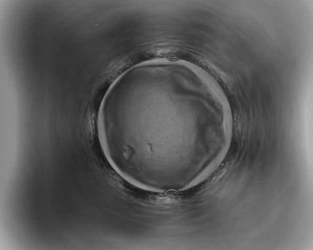 X0000096440475200802141455